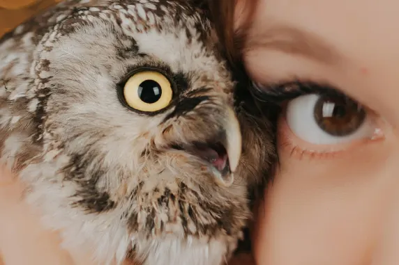 BoaBoa Cazino Cazinou Suport